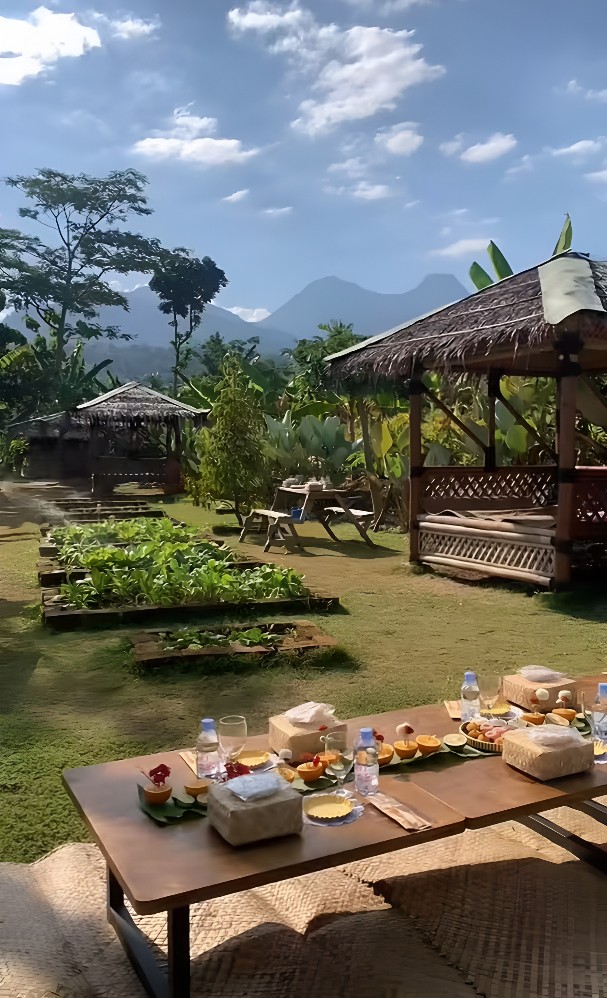 Metik Sayur, Panen Telur, Terus Makan Enak? Semua Bisa di Sini!